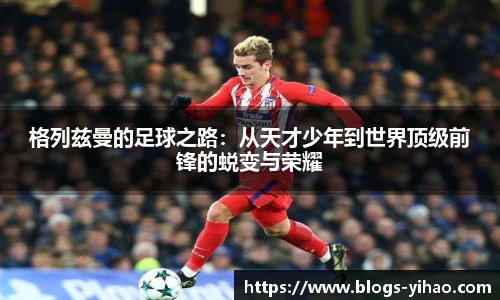 壹号娱乐